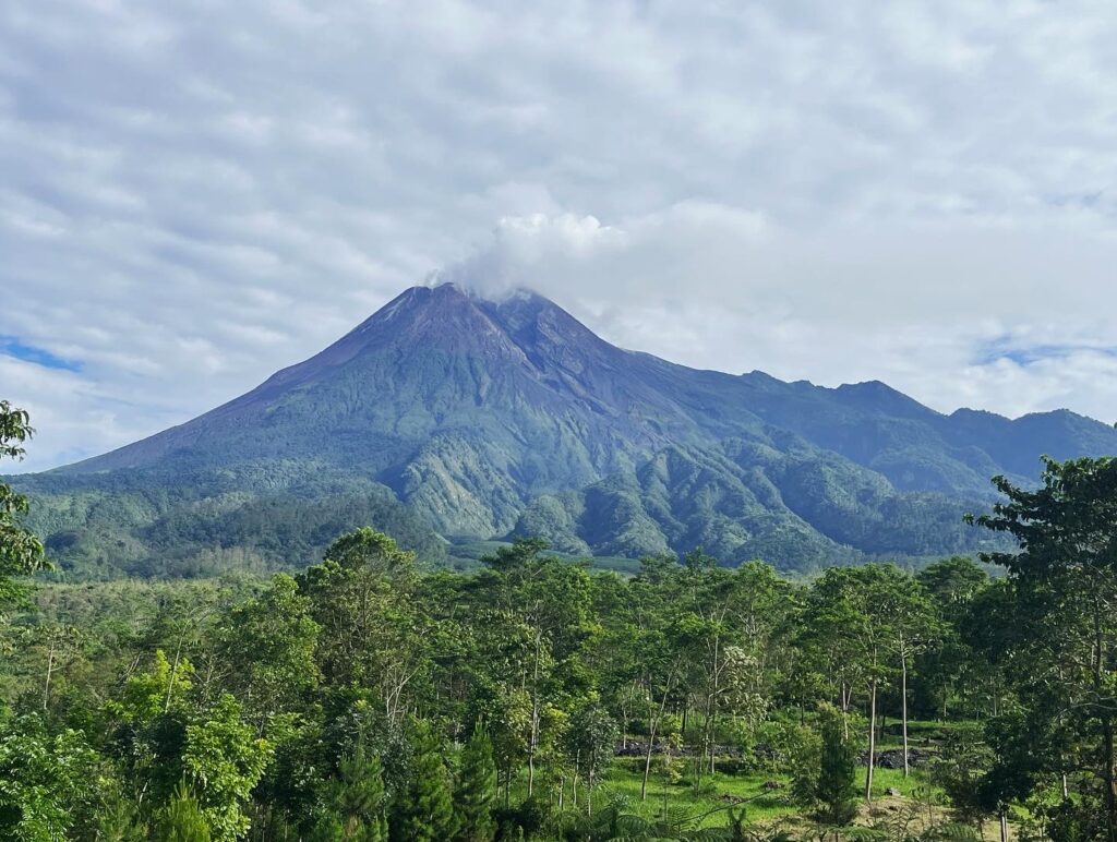 2cc1d2a4 F977 427d Bf75 49e20ec831dc